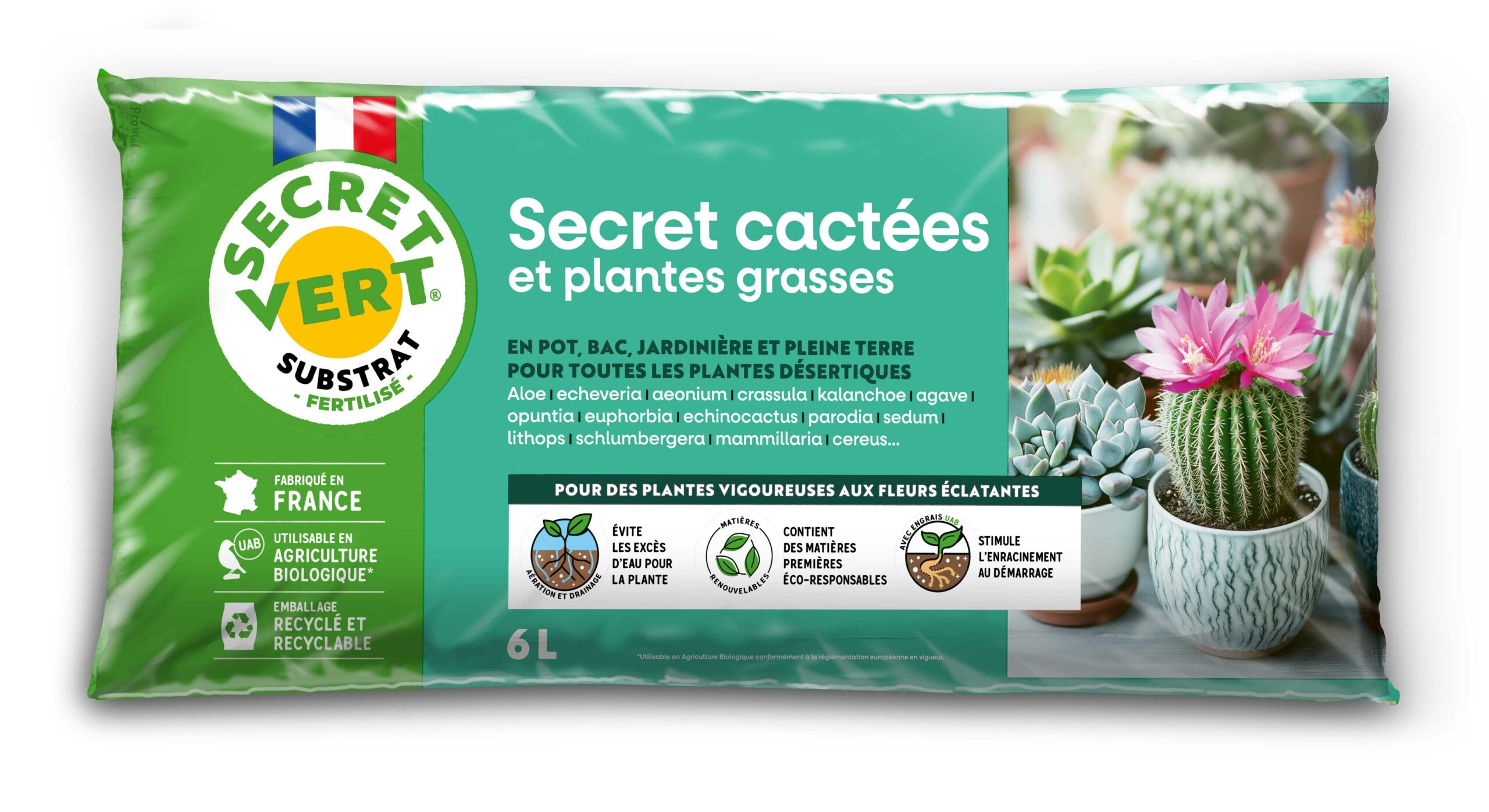 secret cactées & pl. grasses 6l 3285883014550