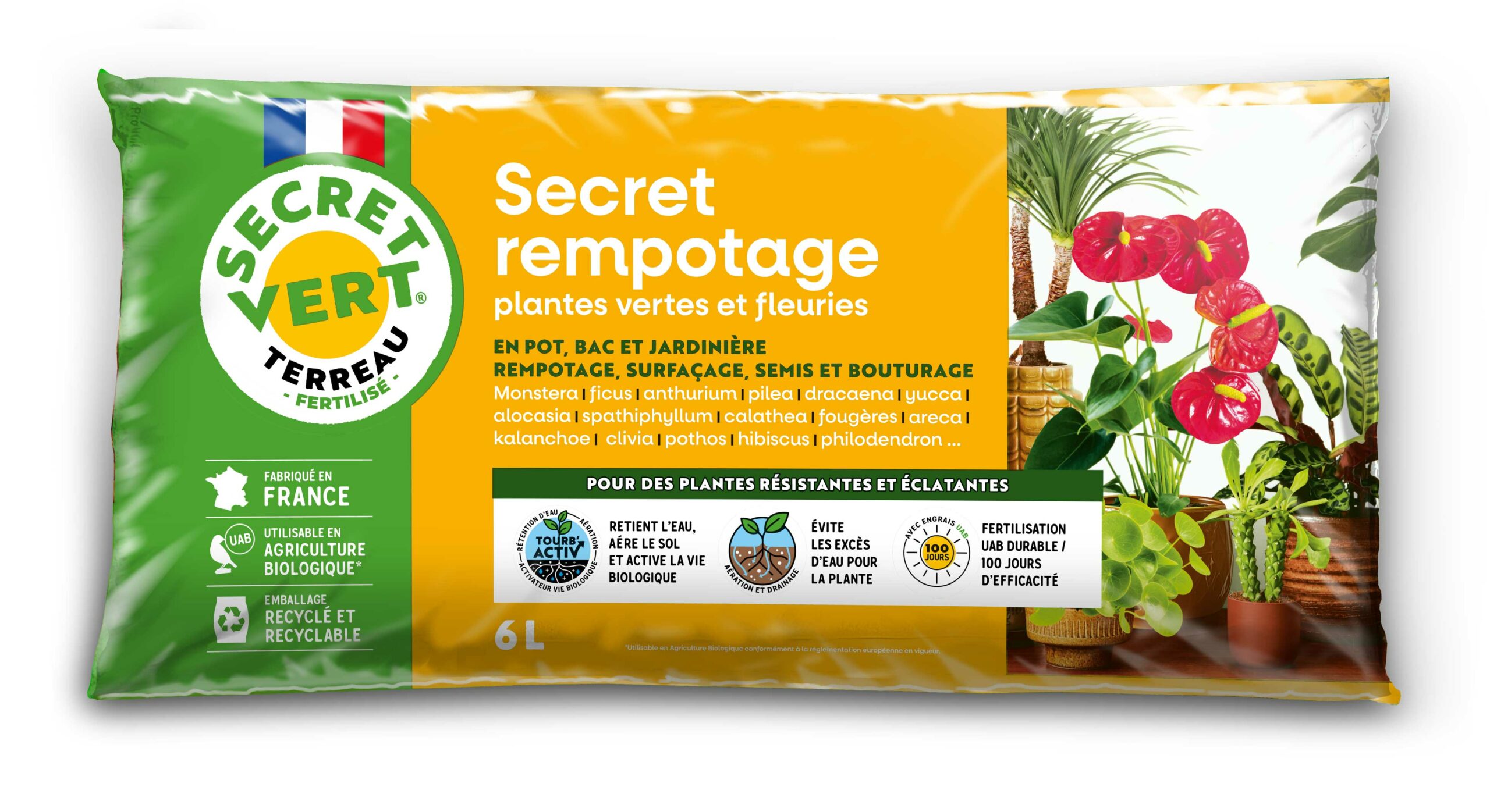 secret rempotage & pl. vertes 6l 3285881114559
