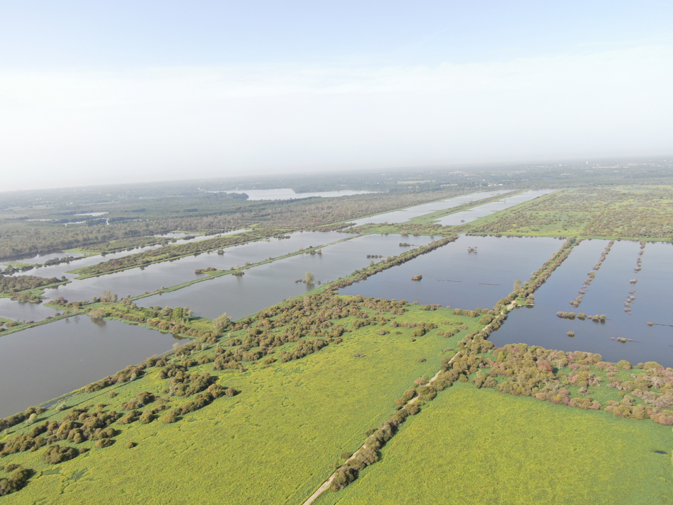 Marais loire-atlantique