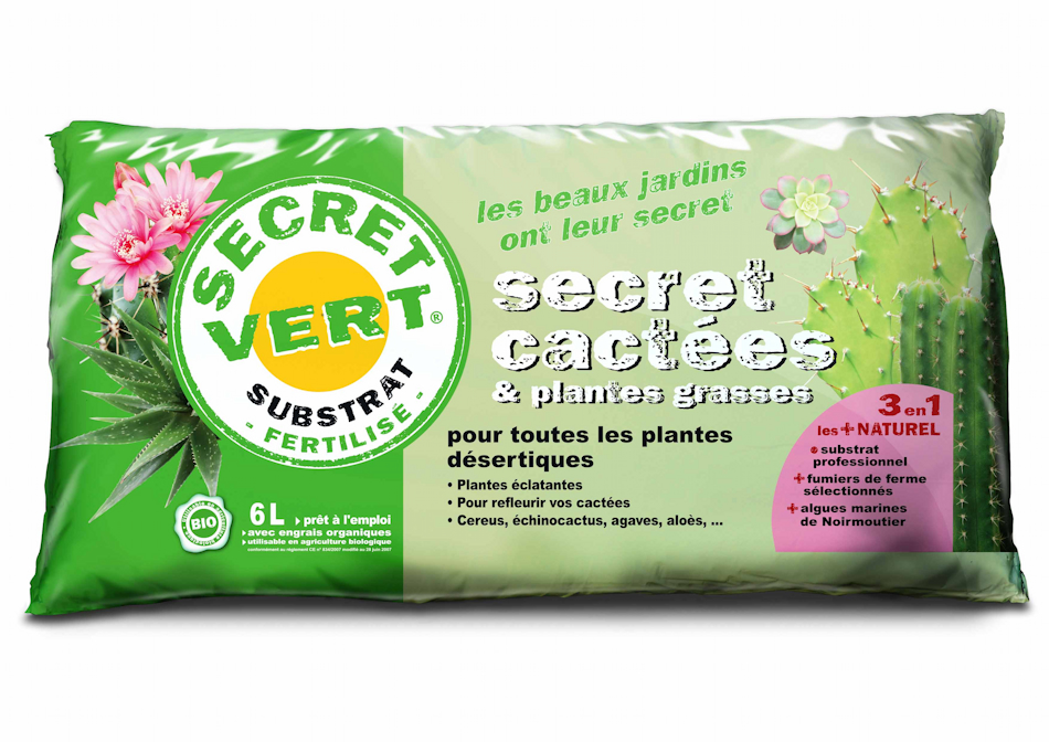 Secret cactées