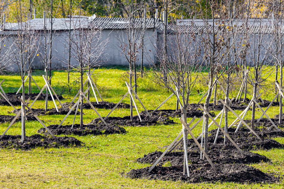 espaces verts